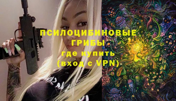 spice Алексеевка