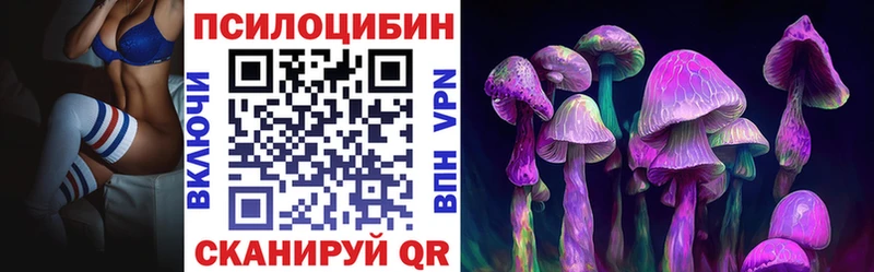 цены   Власиха  блэк спрут зеркало  Галлюциногенные грибы Cubensis 